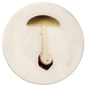 Agaric Bulbeux Dinner Plate