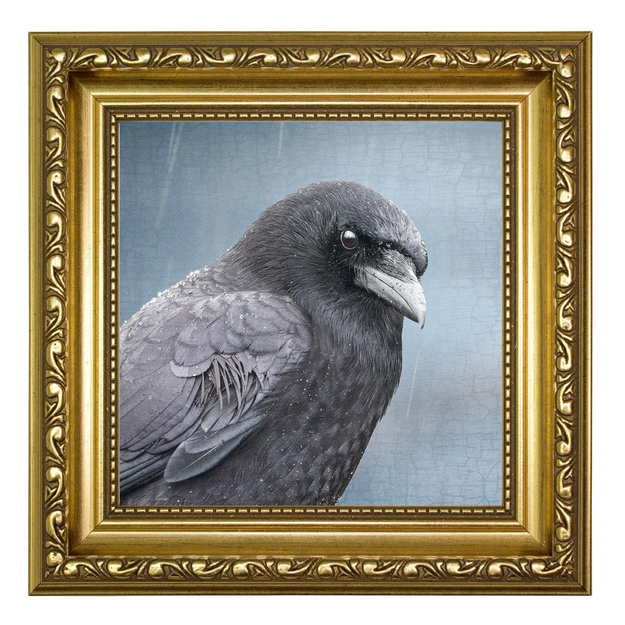 BLUE EARL - Fine Art Print, Crow Portrait Series