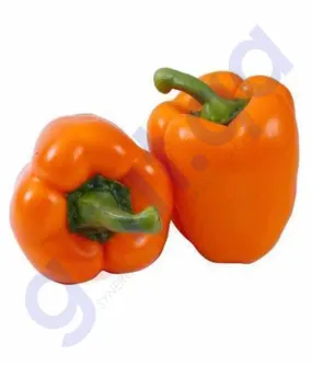 CHILLY CAPSICUM ORANGE