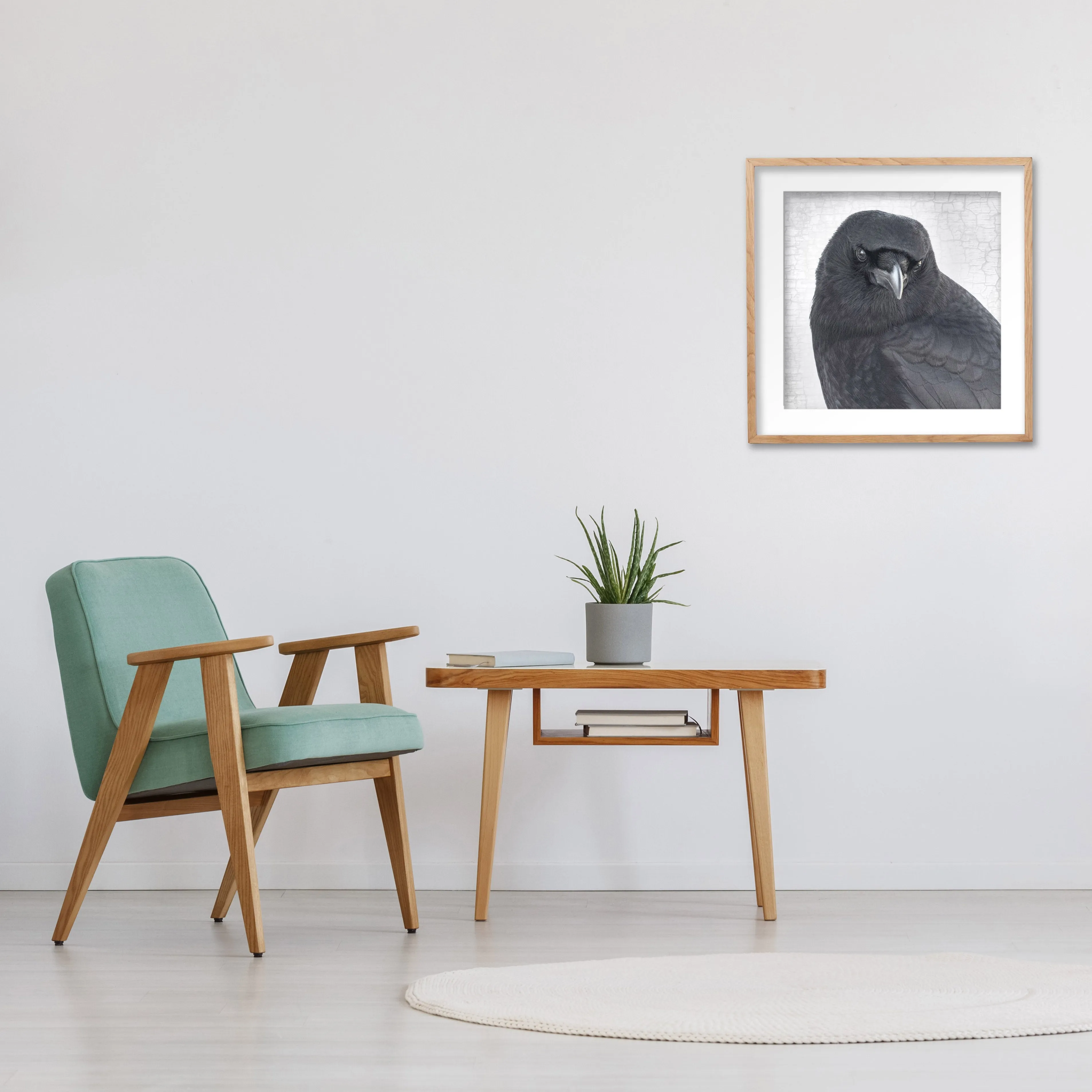 CROW WITHOUT A PEARL EARRING - Fine Art Print, Crow Portrait Series