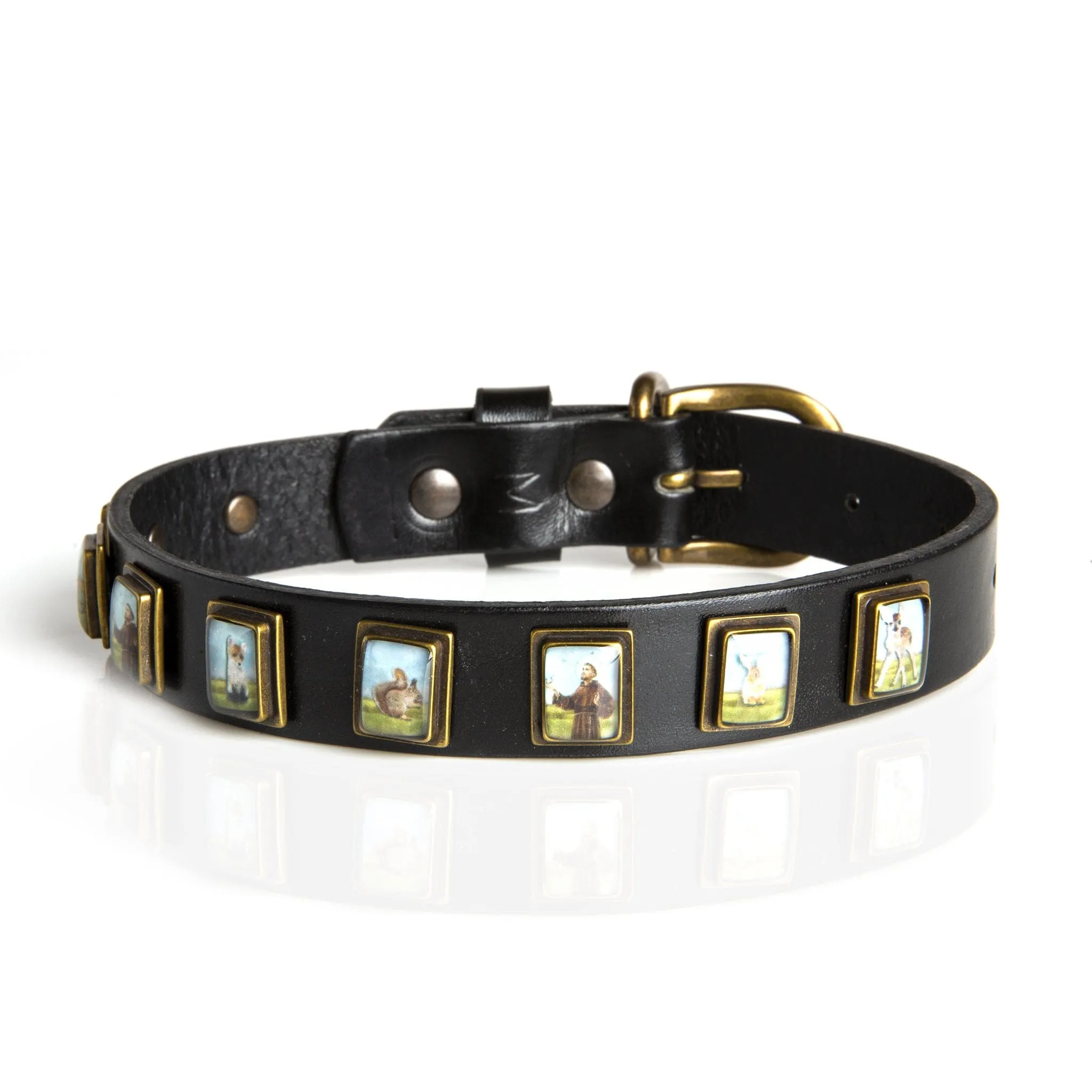 Dog Collar - Saint Francis & Friends