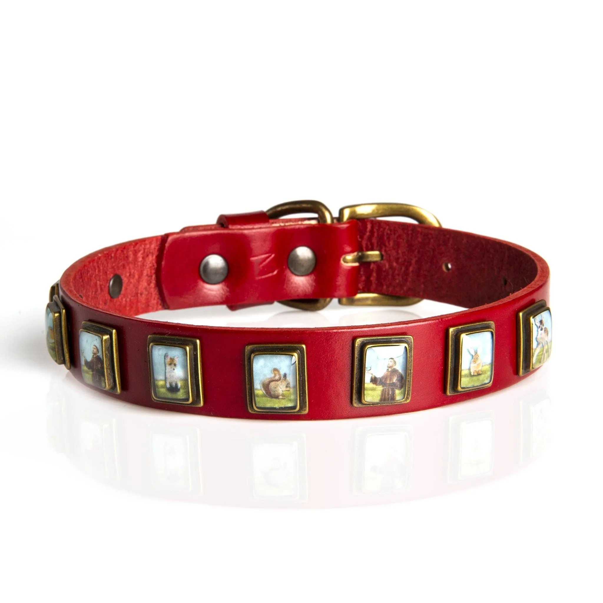 Dog Collar - Saint Francis & Friends