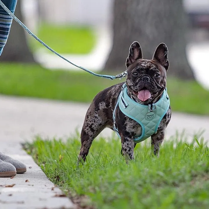 Frenchiestore Neck Adjustable Vegan Leather Health Harness | Mint Varsity