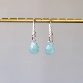 Grandidierite Herringbone Gemstone Drop Earrings in Sterling Silver