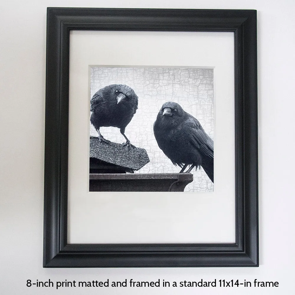 JUDGEMENTAL CROWS - Fine Art Print, Crow Portrait Series