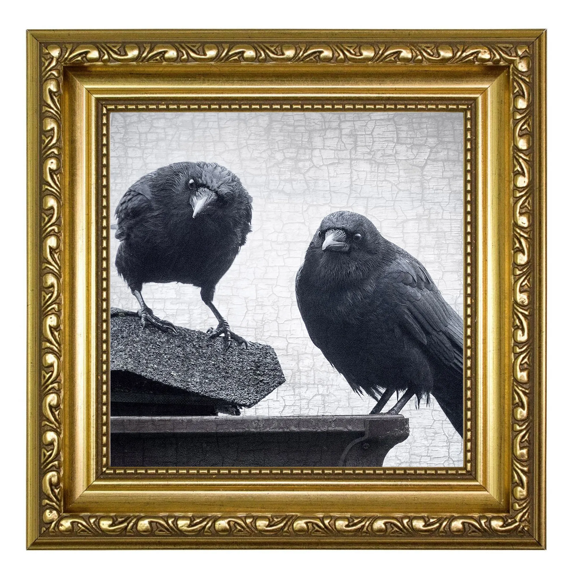 JUDGEMENTAL CROWS - Fine Art Print, Crow Portrait Series