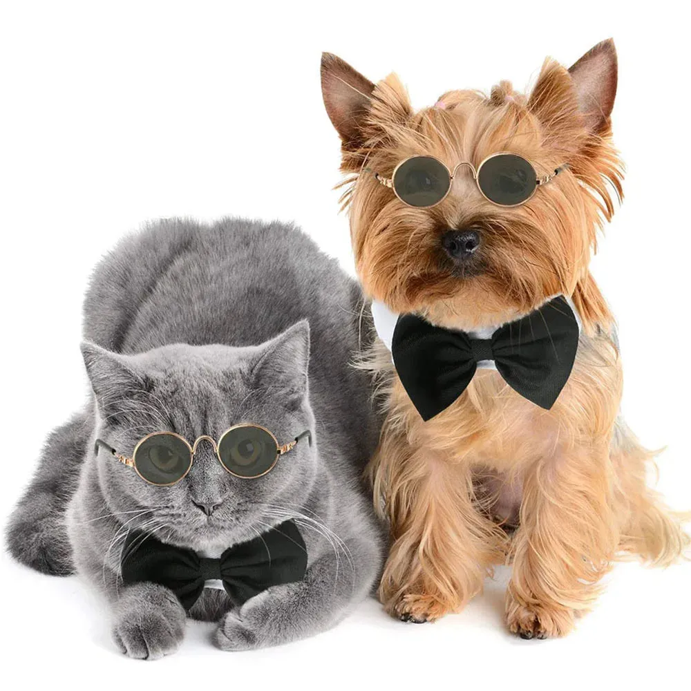 Pet Accessories Cat Glasses