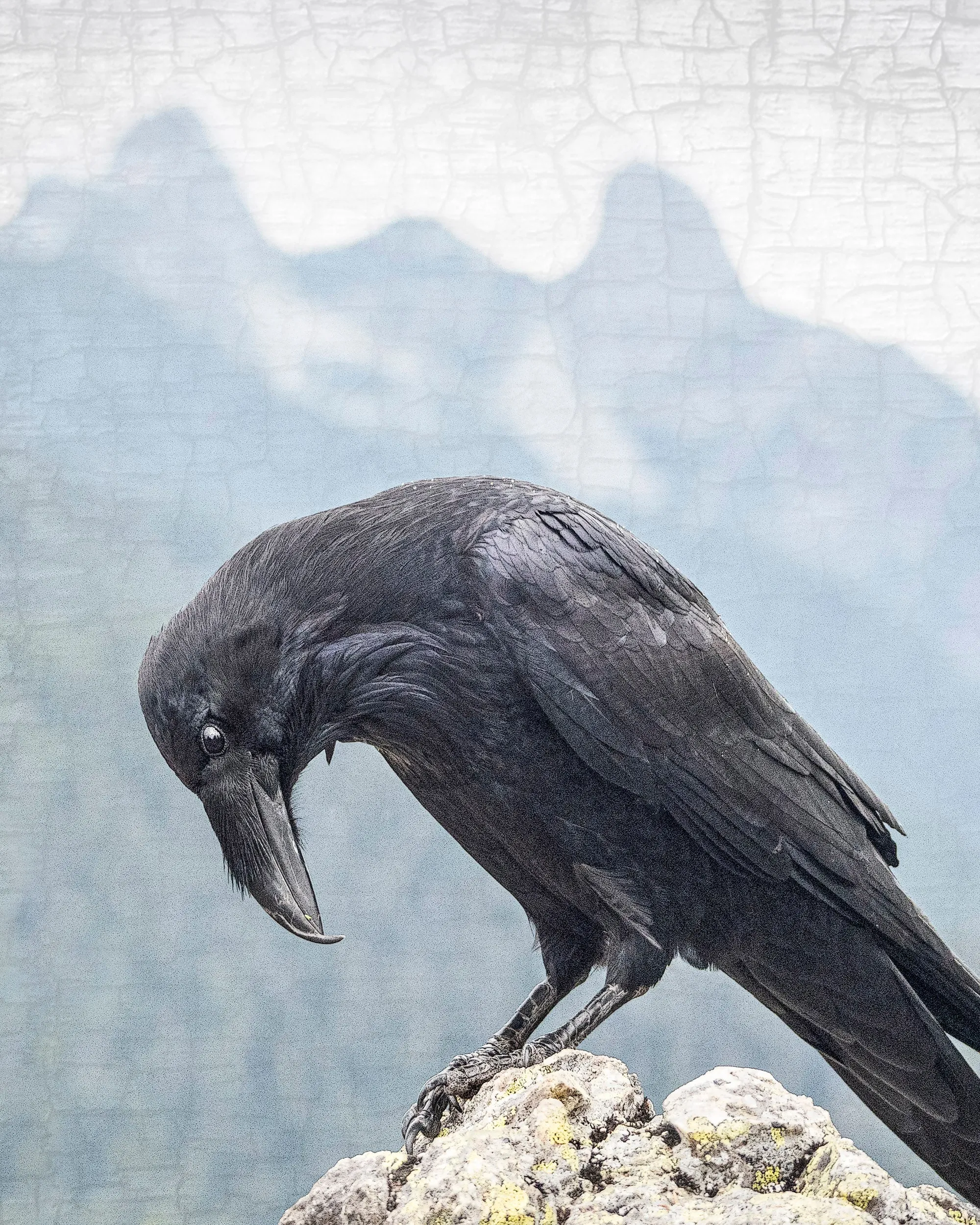 Raven and the Two Sisters - Fine Art Print, Raven Portrait Series