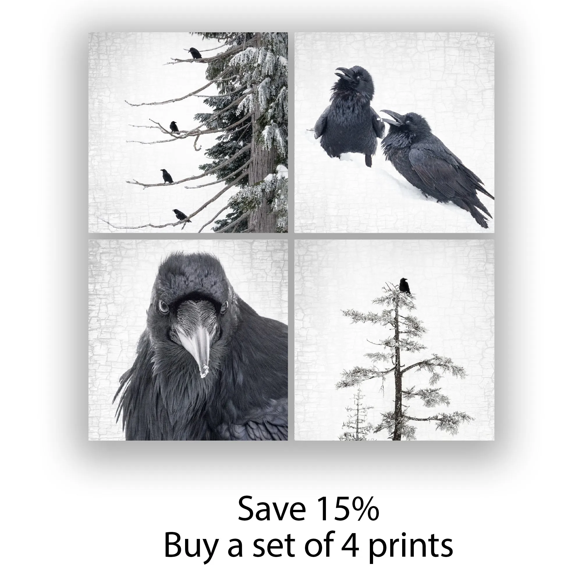 Raven and the Two Sisters - Fine Art Print, Raven Portrait Series