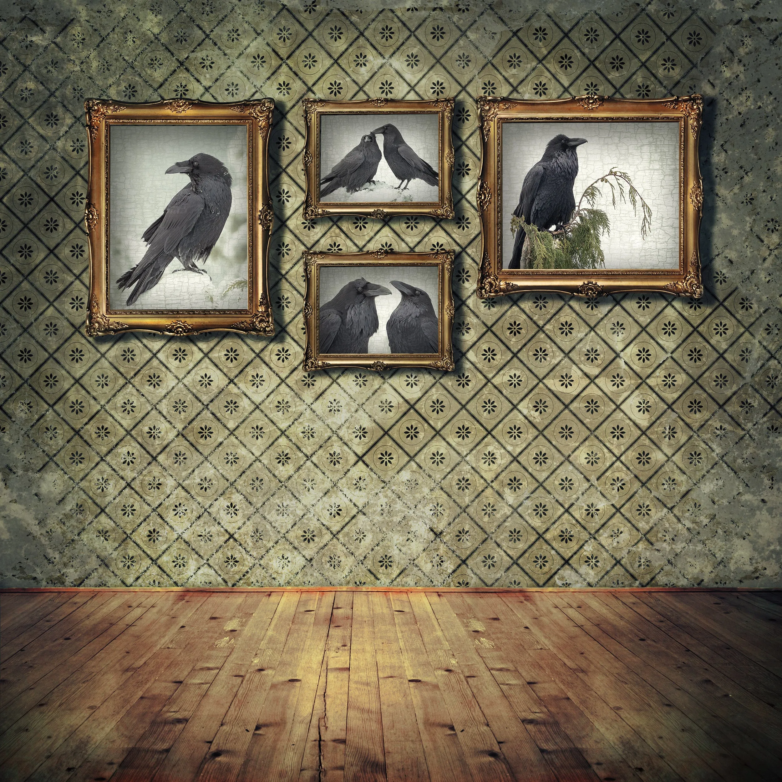 RAVEN LOOKS BACK - Fine Art Print, Raven Portrait Series