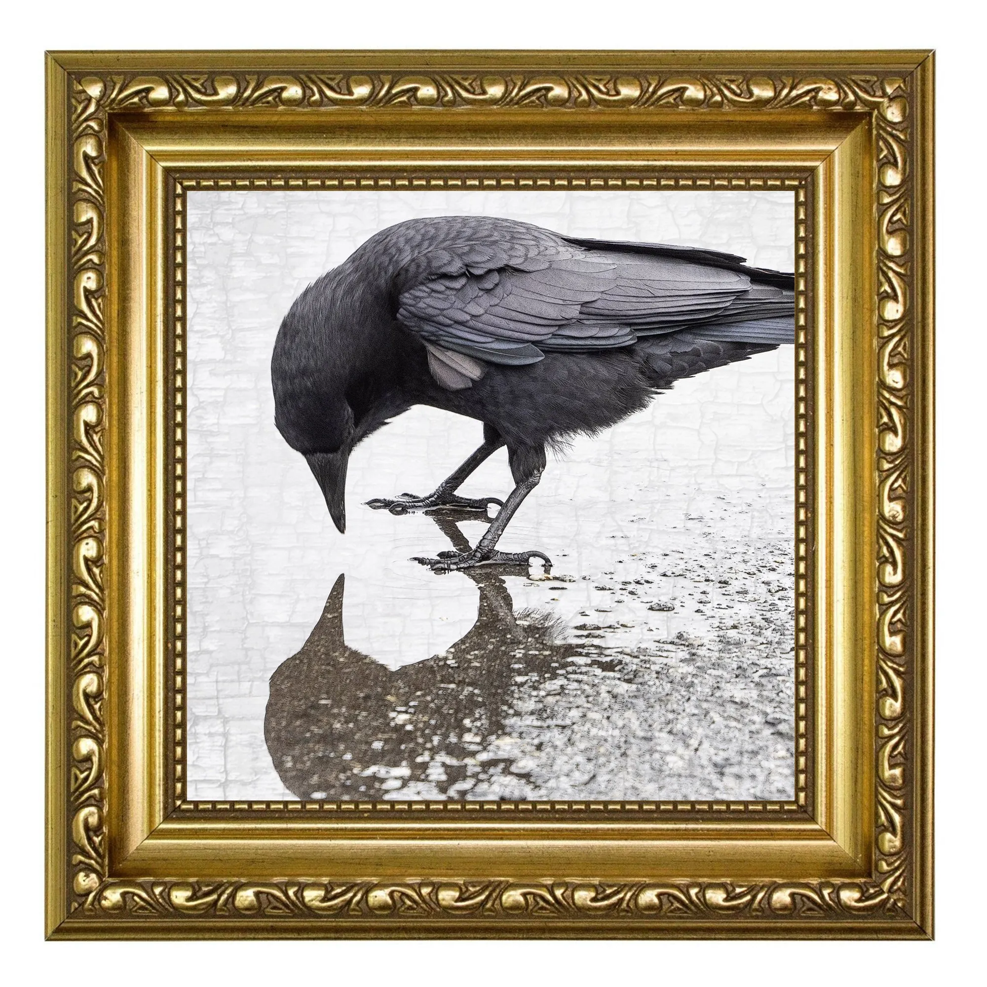 SELF-REFLECTION - Fine Art Print, Crow Portrait Series