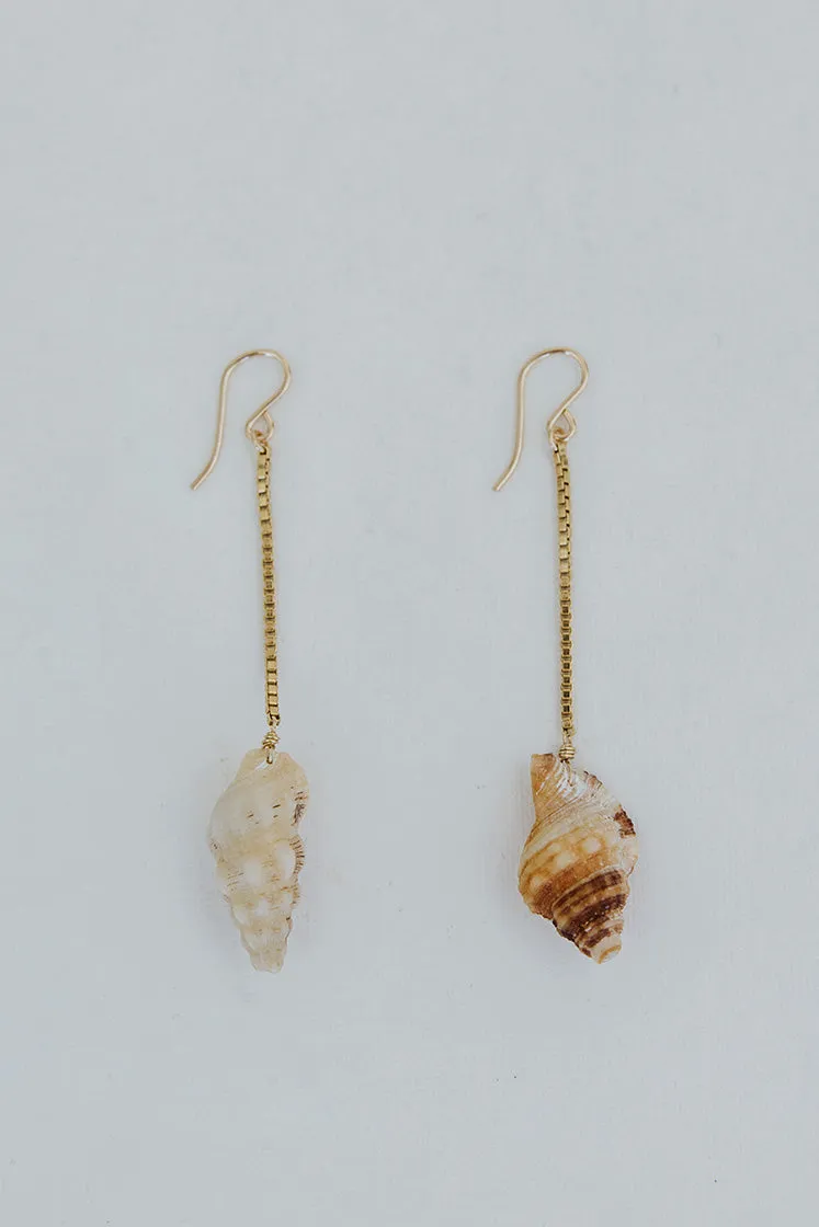 Shell Drop Chain Earrings - Triton Shell