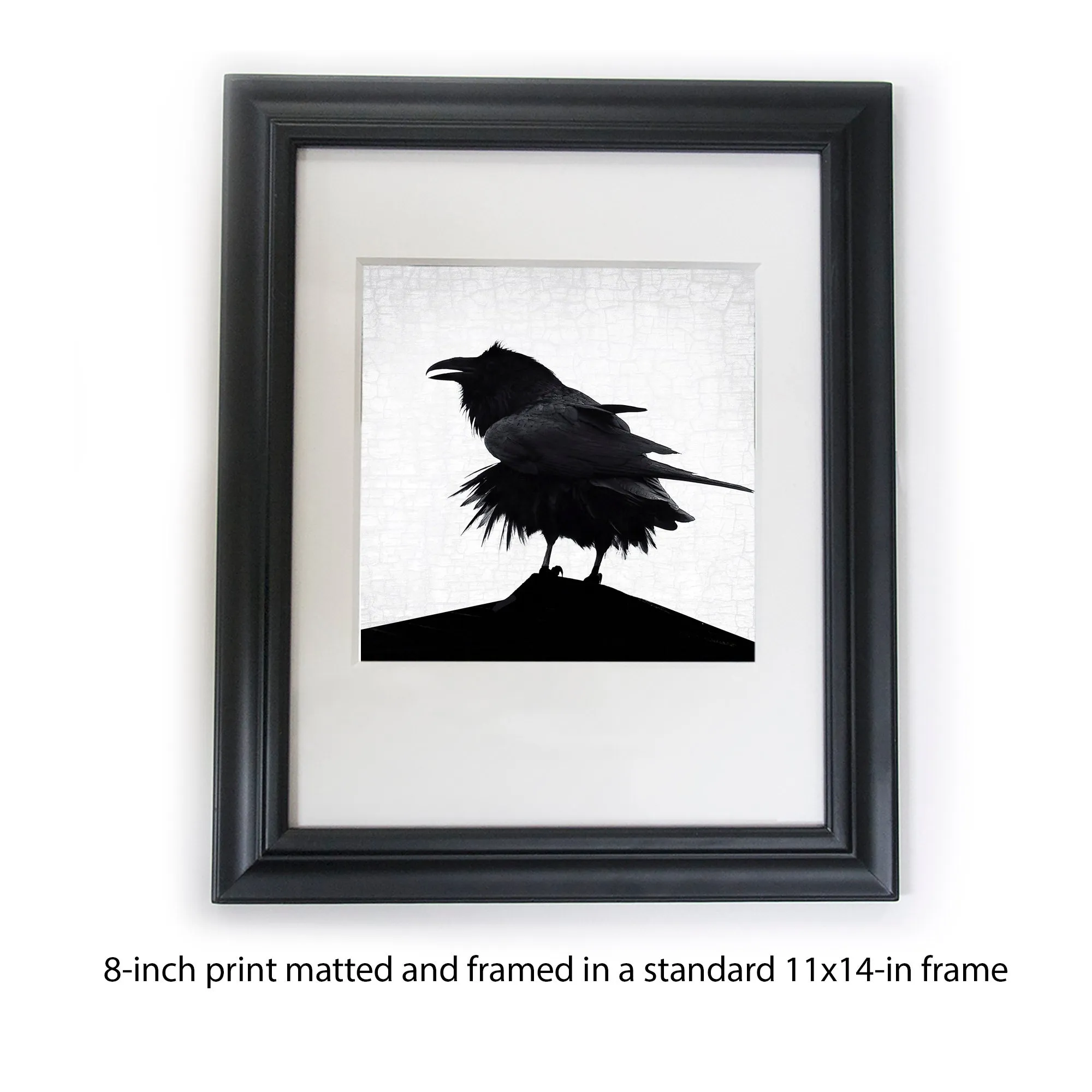 STORM RAVEN - Fine Art Print, Raven Portrait Series