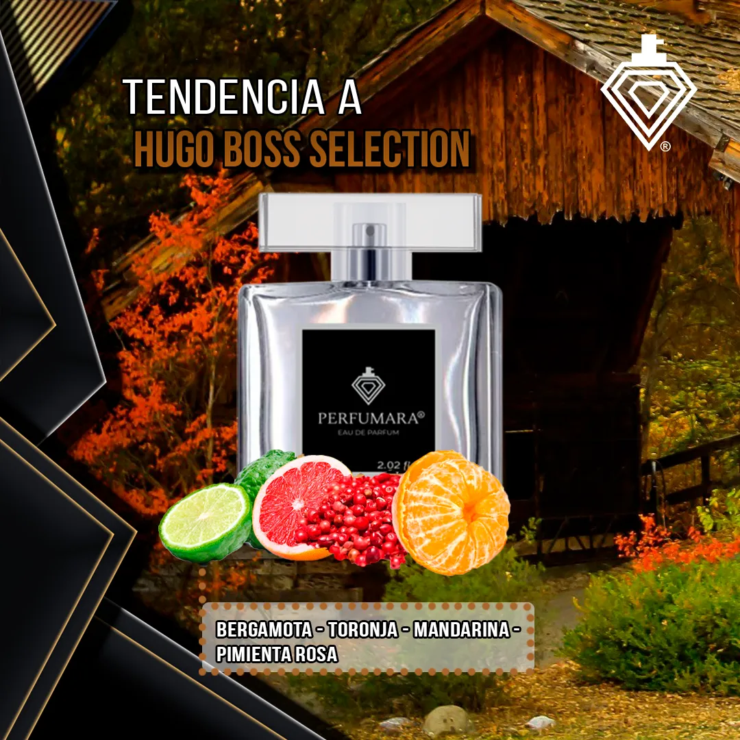 Tendencia a CHugo Boss selection